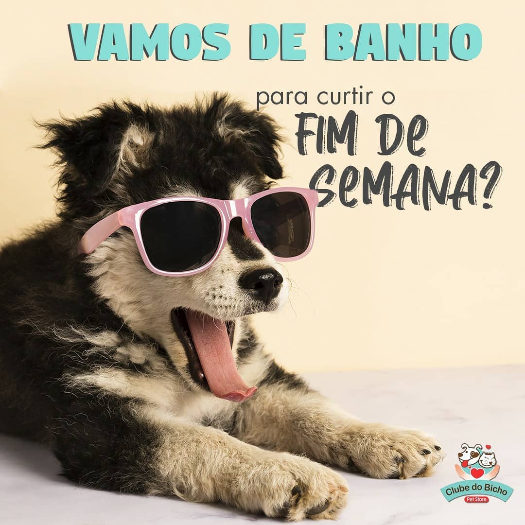Banho e Tosa