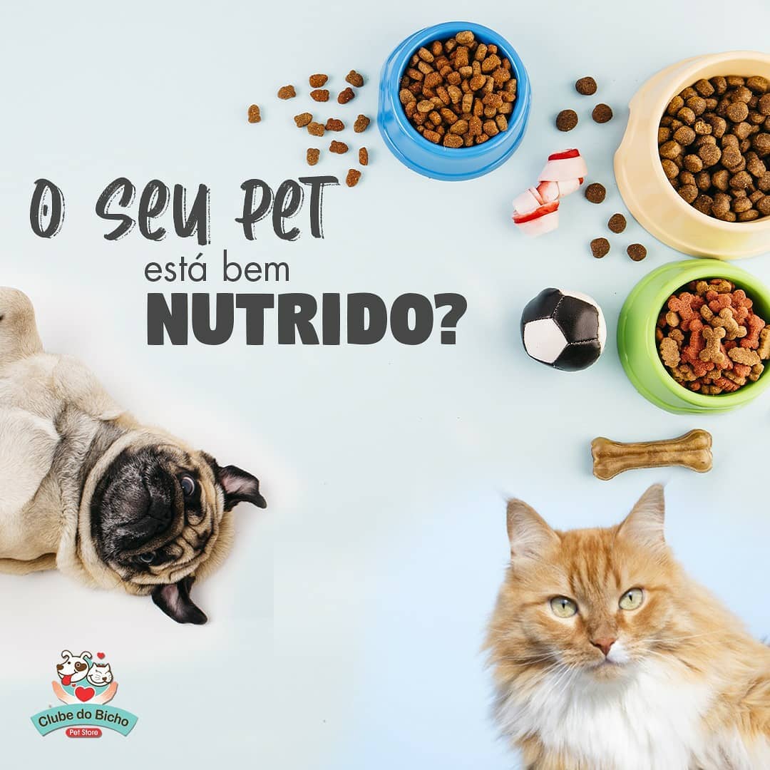 Seu Pet Nutrido