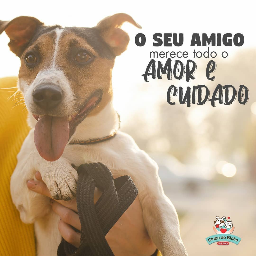 Cuidados para Pet