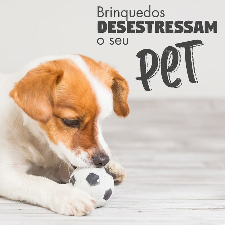 Brinquedos antiestresse