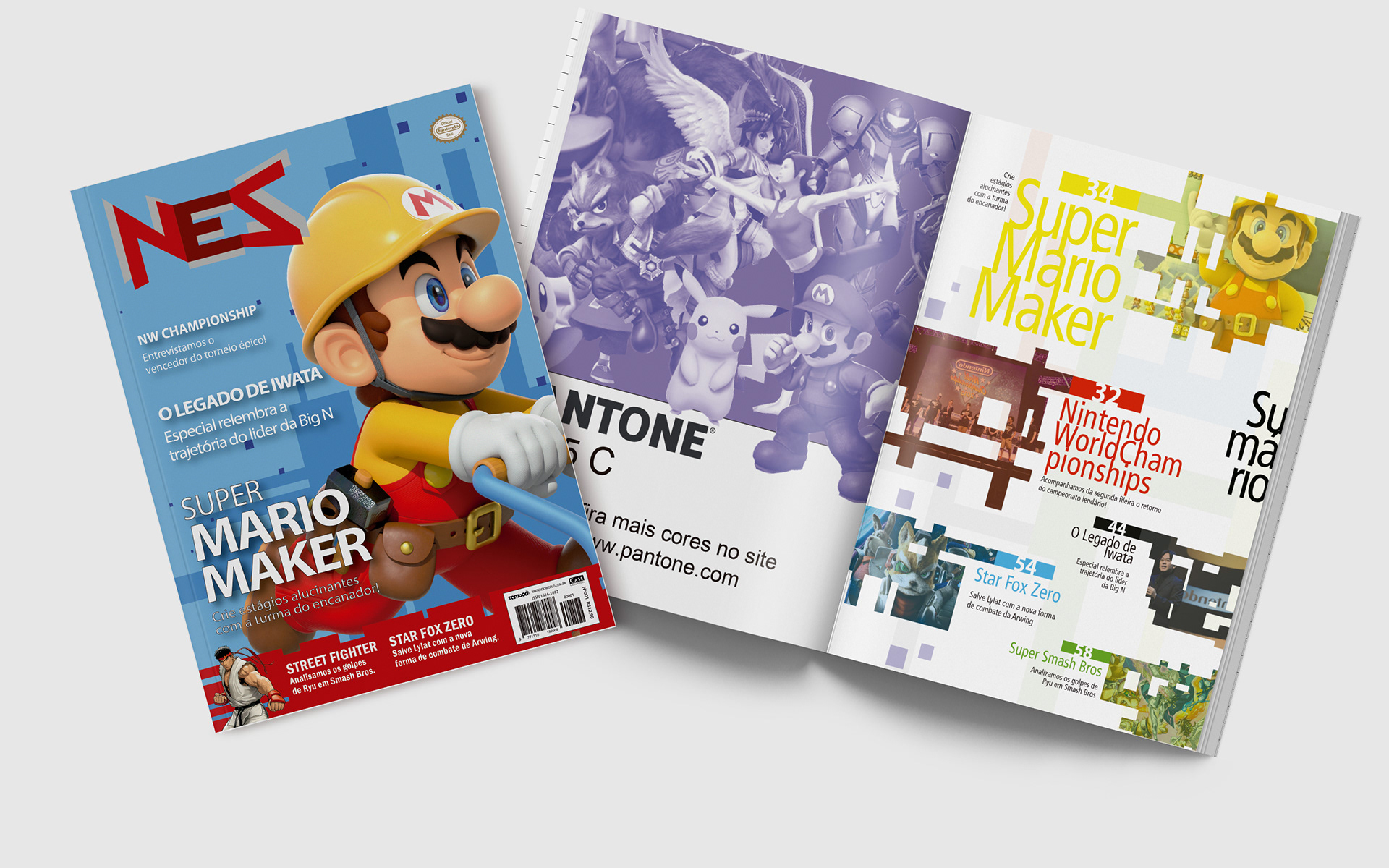 Capa 2 e Sumário